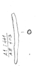 W11c0112 A01.0441 J804 ma ma _immagine.jpg